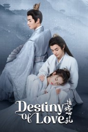 Destiny of Love Destiny of Love