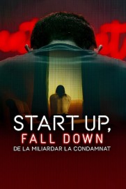 Start Up, Fall Down: From Billionaire to Convict
