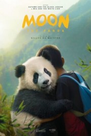 Moon The Panda Moon The Panda