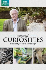 David Attenborough's Natural Curiosities