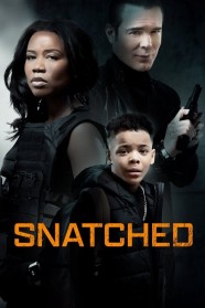 Snatched Watch Free Snatched Full Movies Hd online BFlix
