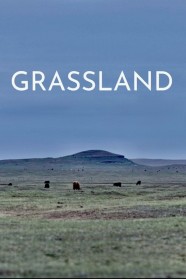 Stream Grassland Movies for Free Online in HD with BFlix