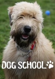 Watch Dog School Free in HD at BFlix