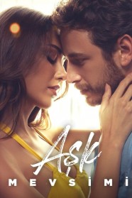 Stream Season of Love Movies for Free Online in HD with BFlix