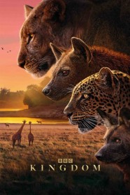 Stream Kingdom Movies for Free Online in HD with BFlix