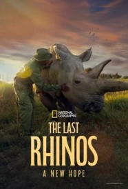 Watch Free The Last Rhinos: A New Hope Full Movies Hd online BFlix