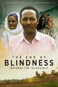 The End of Blindness High Definition Streaming of The End of Blindness on BFlix