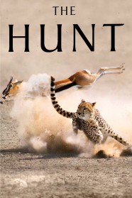 The Hunt