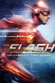 The Flash - Season 1