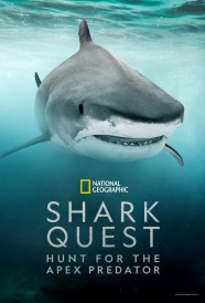 Shark Quest: Hunt For The Apex Predator Shark Quest: Hunt For The Apex Predator