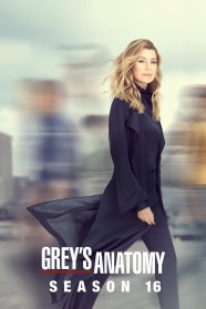 Grey's Anatomy - Season 16 Grey's Anatomy - Season 16