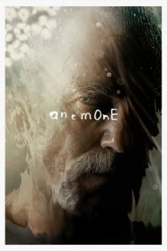 Stream Anemone Movies for Free Online in HD with BFlix