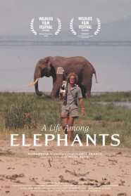A Life Among Elephants Stream A Life Among Elephants Movies for Free Online in HD with BFlix