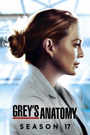 Grey's Anatomy - Season 17