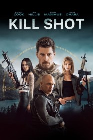 Stream Kill Shot Movies for Free Online in HD with BFlix