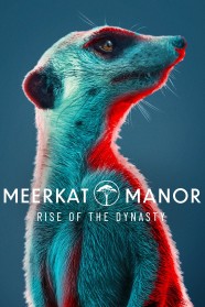 Meerkat Manor: Rise of the Dynasty