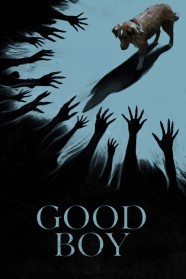 Stream Good Boy Movies for Free Online in HD with BFlix