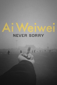 Ai Weiwei: Never Sorry