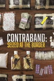 High Definition Streaming of Contraband: Seized at the Border on BFlix