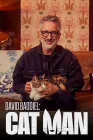 Watch David Baddiel: Cat Man movies free BFlix