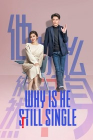 Stream Why is He Still Single? Movies for Free in HD – Watch Online with BFlix