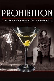 Watch Prohibition Movies Free Online BFlix Alternatives