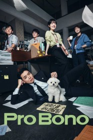 Watch free Pro Bono movies Hd online BFlix