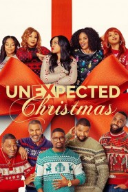 Watch free Unexpected Christmas movies Hd online BFlix