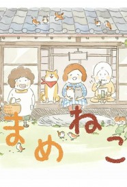 Mameneko Stream Mameneko Movies for Free in HD – Watch Online with BFlix