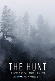 Stream The Hunt: In Search of Australia's Big Cats Movies for Free in HD – Watch Online with BFlix