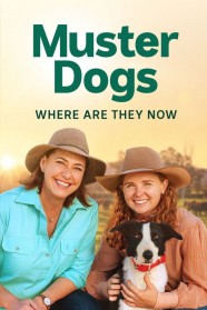 Watch Free Muster Dogs: Where Are They Now Full Movies Hd online BFlix