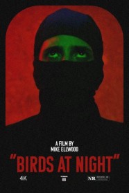 Watch Birds at Night Free in HD at BFlix