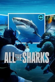 All the Sharks