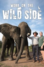 High Definition Streaming of Work on the Wild Side on BFlix