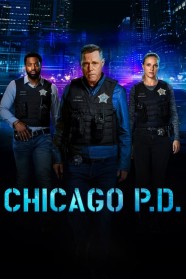 Chicago P.D. - Season 11