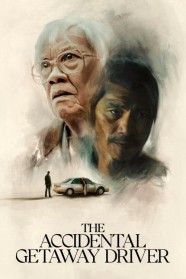 Stream The Accidental Getaway Driver Movies for Free Online in HD with BFlix
