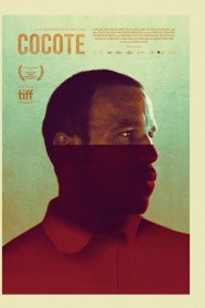 Stream Cocote Movies for Free Online in HD with BFlix
