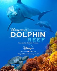 Stream Dolphin Reef Movies in HD Free on MoviesJoy