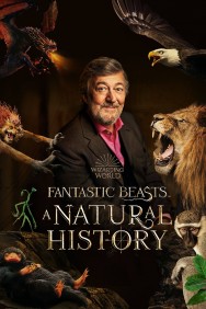 Watch Free Fantastic Beasts: A Natural History Movies HD Online FMovies Alternatives site