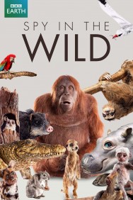 Watch Free Spy in the Wild Movies HD Online FMovies Alternatives site