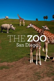 Watch free The Zoo: San Diego movies online on on MoviesJoy Alternatives site