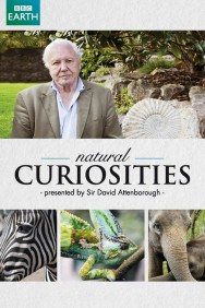 Watch free David Attenborough's Natural Curiosities movies online on on MoviesJoy Alternatives site