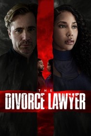 The Divorce Lawyer Watch Free The Divorce Lawyer Movies HD Online FMovies Alternatives site