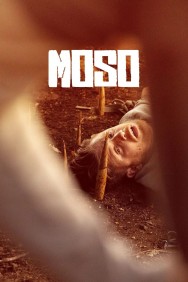 Bamboo Revenge Watch free Bamboo Revenge movies online - MoviesJoy