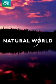 Stream Natural World Movies in HD Free on MoviesJoy