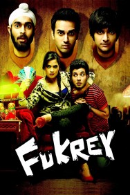 Stream Fukrey in Full HD for Free on MoviesJoy