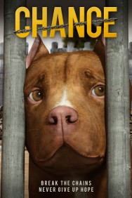 Stream Chance in Full HD for Free on MoviesJoy