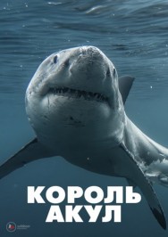 Watch free Boss Shark movies online on on MoviesJoy Alternatives site