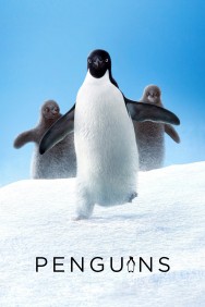 Watch Free Penguins Movies Full HD Online on MovieJoy