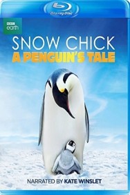 Stream Snow Chick - A Penguin's Tale in Full HD for Free on MoviesJoy